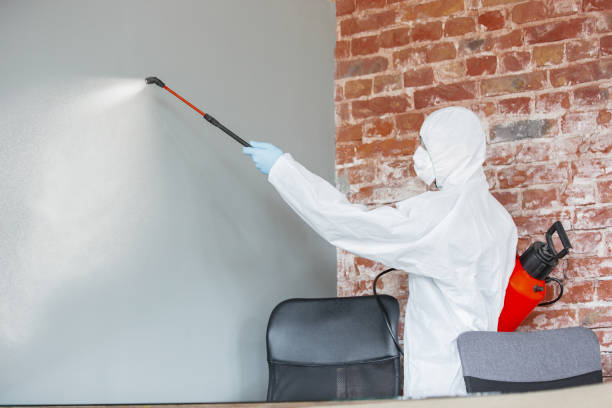 Best Biohazard Mold Removal  in USA