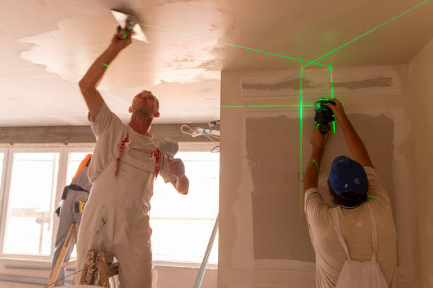 Best Attic Mold Removal  in USA